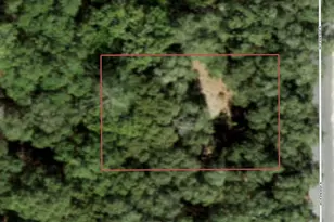 7120 N Veronica Dr, Dunnellon, FL 34433 - Photo 1