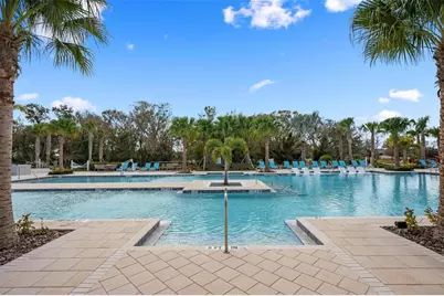 13156 Shimmering Amethyst Court, Parrish, FL 34219 - Photo 49