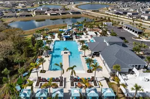 13156 Shimmering Amethyst Ct, Parrish, FL 34219 - Photo 53