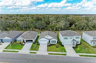 17250 Wheatberry Blvd, Parrish, FL 34219 - Photo 3