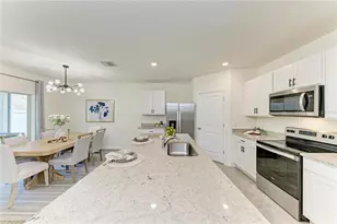 17250 Wheatberry Blvd, Parrish, FL 34219 - Photo 11