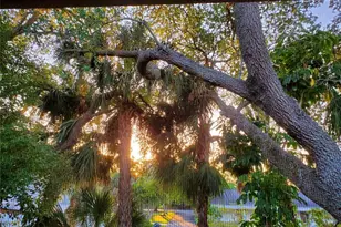 2224 Bahia Vista St, Sarasota, FL 34239 - Photo 33