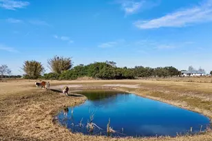 14325 MJ Rd, Myakka City, FL 34251 - Photo 67