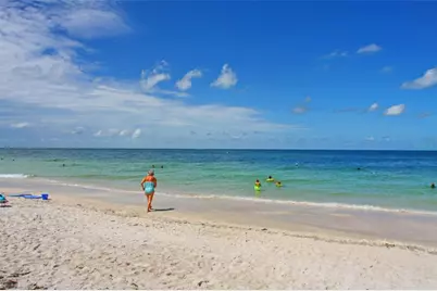 252 Sun Air Circle, Osprey, FL 34229 - Photo 85