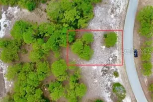 668 Lake Tina Dr, Lake Placid, FL 33852 - Photo 5