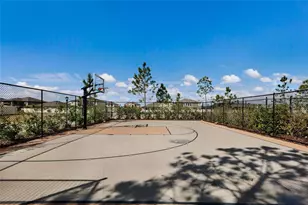 5552 Blue Azure Dr, Wimauma, FL 33598 - Photo 61