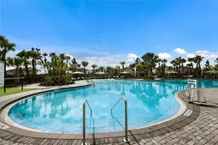 5552 Blue Azure Dr, Wimauma, FL 33598 - Photo 53