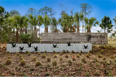 5552 Blue Azure Drive, Wimauma, FL 33598 - Photo 45