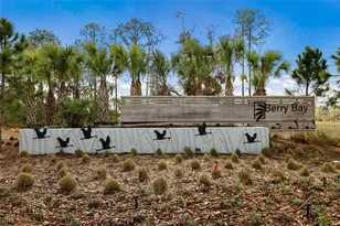 5552 Blue Azure Dr, Wimauma, FL 33598 - Photo 45