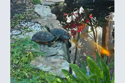 4600 30th Avenue N, Saint Petersburg, FL 33713 - Photo 35