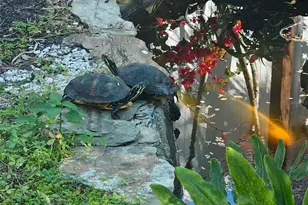 4600 30th Ave N, Saint Petersburg, FL 33713 - Photo 35