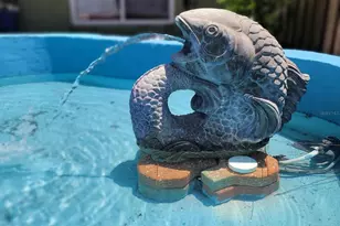 3624 Peck St, Sarasota, FL 34238 - Photo 19