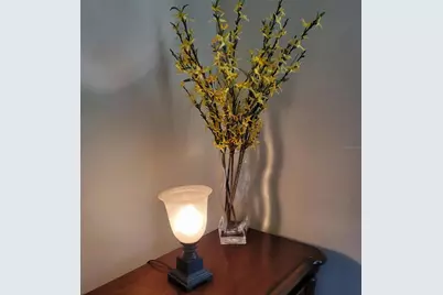 3624 Peck Street, Sarasota, FL 34238 - Photo 7