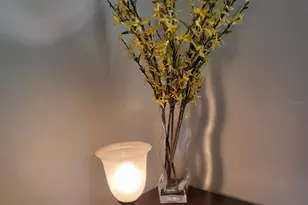 3624 Peck St, Sarasota, FL 34238 - Photo 7