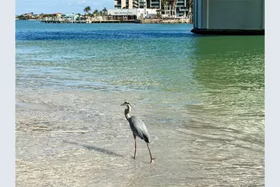 200 140th Avenue E #W, Madeira Beach, FL 33708 - Photo 27
