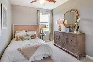 4407 Silver Birch Ct Ct, Palmetto, FL 34221 - Photo 19