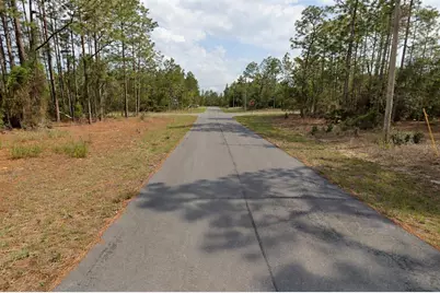 11033 N Trigger Terrace, Citrus Springs, FL 34433 - Photo 3