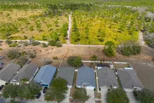 8130 Alamosa Wood Ave, Ruskin, FL 33573 - Photo 3