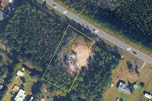 4741 Co Rd 218, Middleburg, FL 32068 - Photo 1