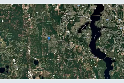 4741 County Road 218, Middleburg, FL 32068 - Photo 5