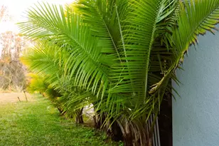 8323 Reefbay Cv, Parrish, FL 34219 - Photo 17