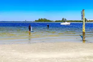 11021 Standing Stone Dr, Wimauma, FL 33598 - Photo 61