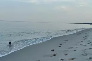 9397 Midnight Pass Rd, Sarasota, FL 34242 - Photo 69