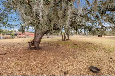 2731 Logue Road, Myakka City, FL 34251 - Photo 27