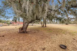 2731 Logue Rd, Myakka City, FL 34251 - Photo 27