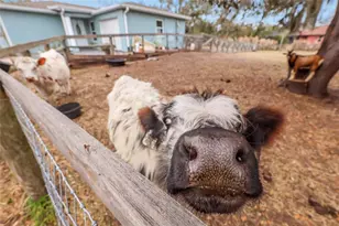 2731 Logue Rd, Myakka City, FL 34251 - Photo 25