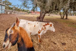 2731 Logue Rd, Myakka City, FL 34251 - Photo 29