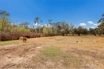 2731 Logue Road, Myakka City, FL 34251 - Photo 33