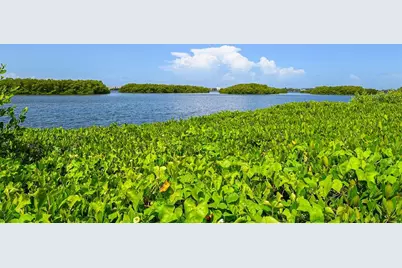 1687 Brookhouse Circle #219, Sarasota, FL 34231 - Photo 55