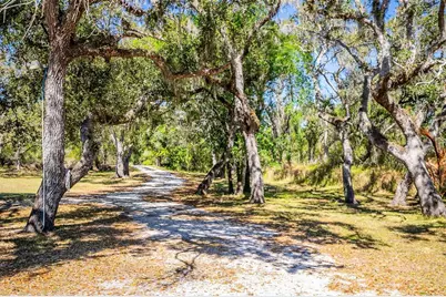 36442 Singletary Road, Myakka City, FL 34251 - Photo 83