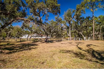 36442 Singletary Road, Myakka City, FL 34251 - Photo 57