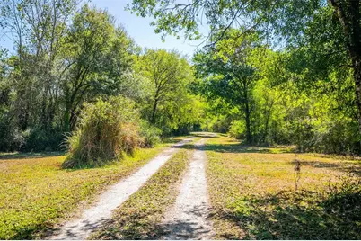 36442 Singletary Road, Myakka City, FL 34251 - Photo 5