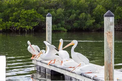 10315 Cortez Road W #28-1, Bradenton, FL 34210 - Photo 29