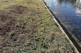 2005 SE 20th Ln, Cape Coral, FL 33990 - Photo 5