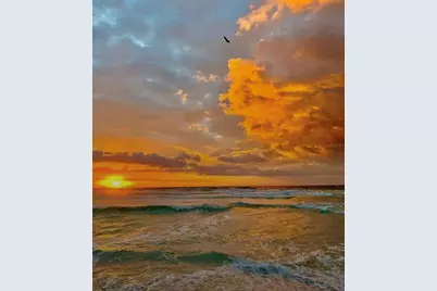 1300 Benjamin Franklin Drive #303, Sarasota, FL 34236 - Photo 53