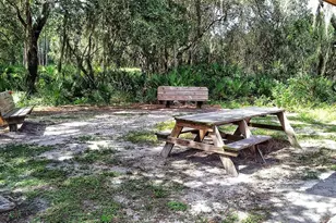 3782 Amapola Ln, Sarasota, FL 34238 - Photo 69