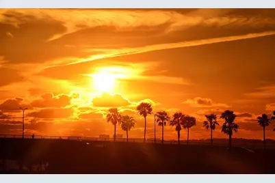 5019 Stevens Drive, Sarasota, FL 34234 - Photo 87