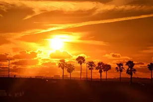 5019 Stevens Dr, Sarasota, FL 34234 - Photo 87