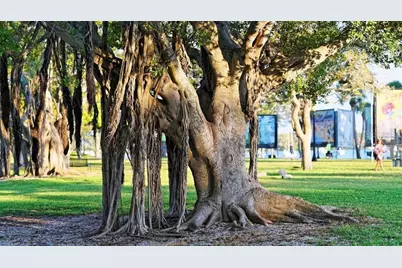 650 Golden Gate Point #403, Sarasota, FL 34236 - Photo 45