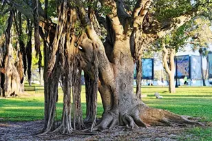 650 Golden Gate Point, Sarasota, FL 34236 - Photo 45