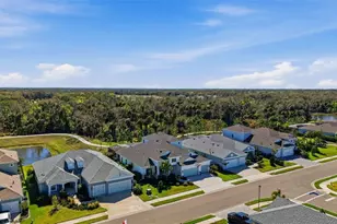 14307 Skipping Stone Loop, Parrish, FL 34219 - Photo 59