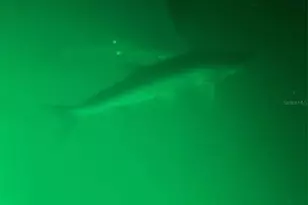 490 Creek Ln Dr, Englewood, FL 34223 - Photo 47