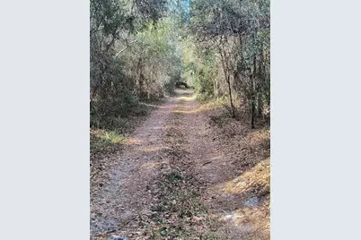 000 First Street, Hawthorne, FL 32640 - Photo 7