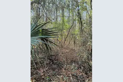 000 First Street, Hawthorne, FL 32640 - Photo 11