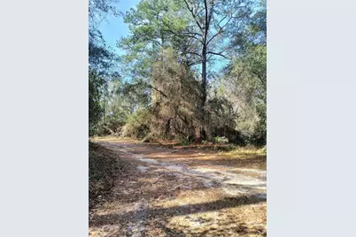 000 First Street, Hawthorne, FL 32640 - Photo 5