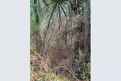 000 First Street, Hawthorne, FL 32640 - Photo 13